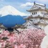 japon mont fuji fleurs de cerisiers sakura